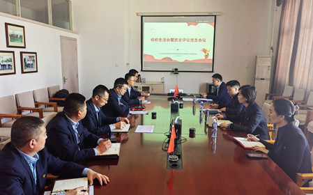 標(biāo)題：銷售黨支部召開組織生活會(huì)暨民主評(píng)議黨員會(huì)議
瀏覽次數(shù)：371
發(fā)表時(shí)間：2025-02-26